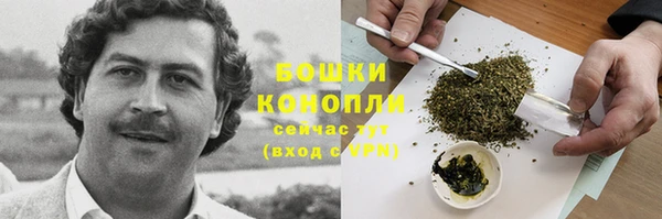 СК Богданович