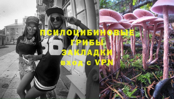 гидра Беломорск