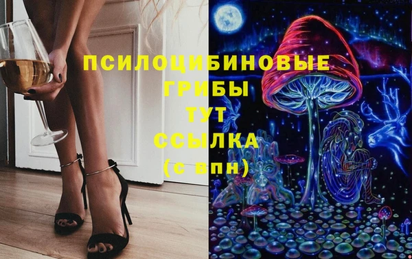 амфетамин Белокуриха